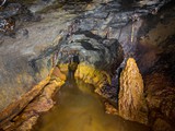 IMG_4104